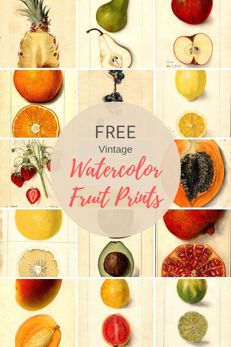watercolor fruit prints