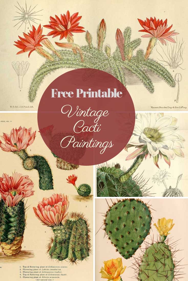 Free vintage cactus paintings