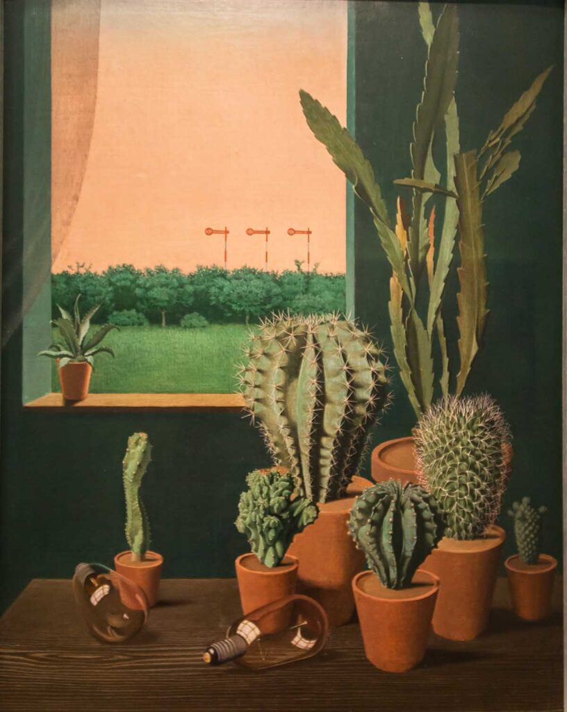 Still life of potted cacti Georg Scholz