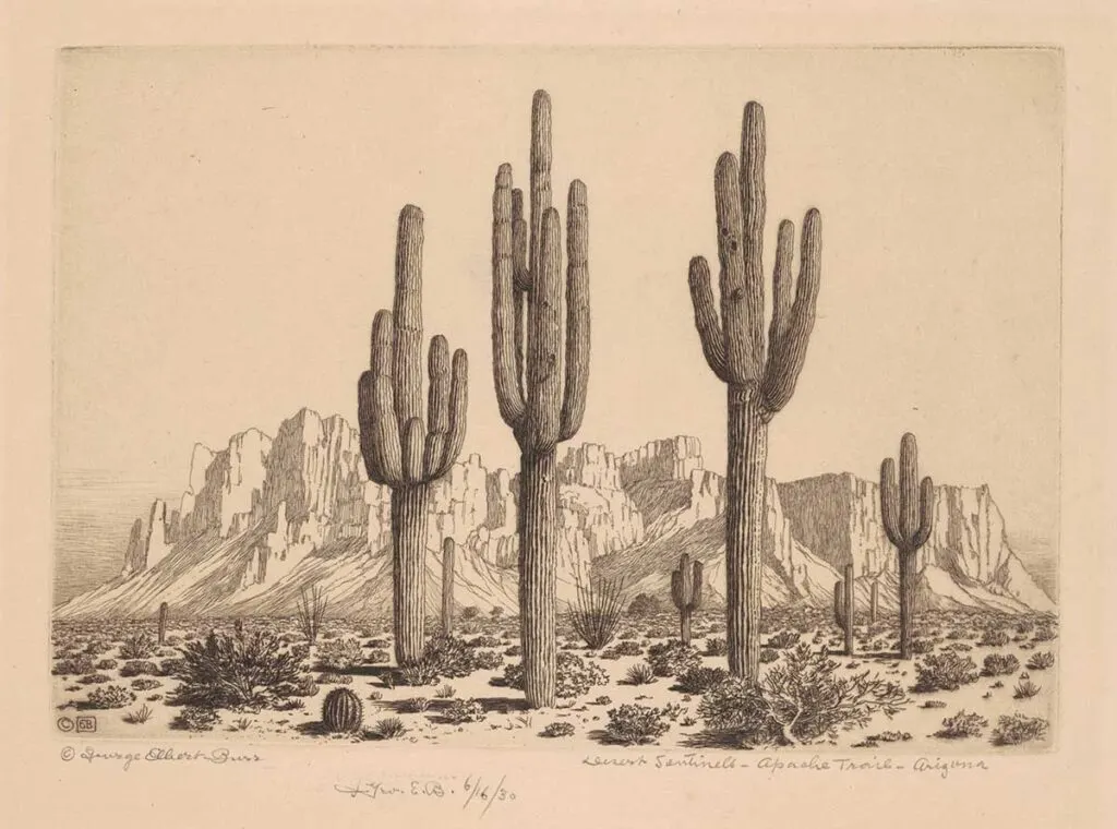 "George Elbert Burr, Desert Sentinels, Apache Trail, Arizona,