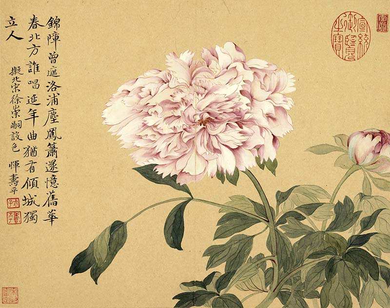 Chinese painting of a peony