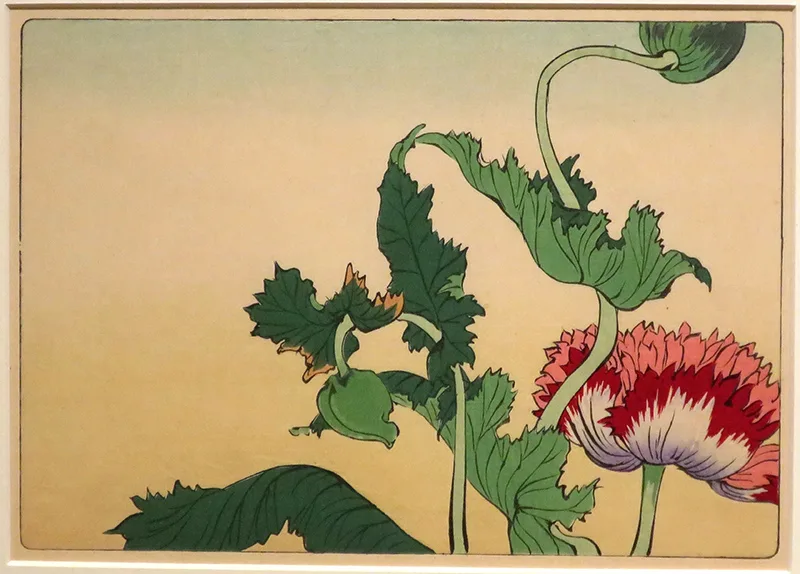 Japanese woodblock of peonies