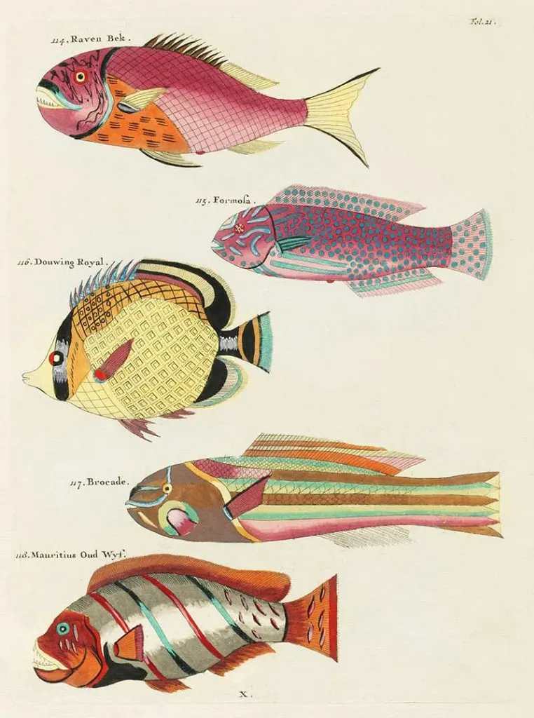 Louis Renard antique fish 114-118