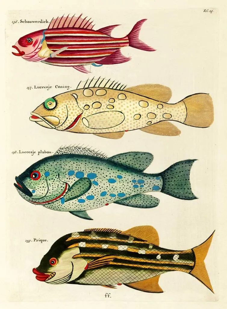 he Schouwerdick and Other Fish 136-139