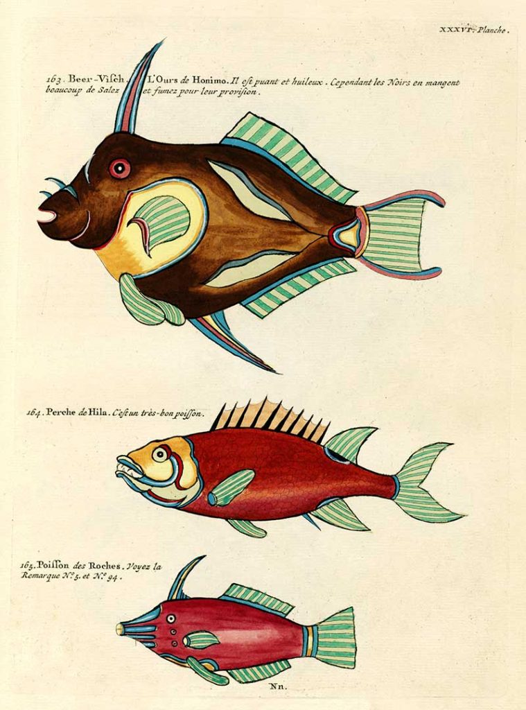 Louis Renard antique fish 163-165
