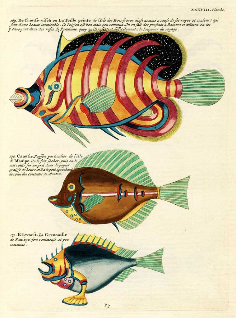 Antique fantastical fish illustrations