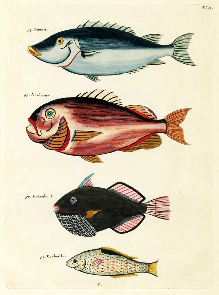 Free fantastical fish prints
