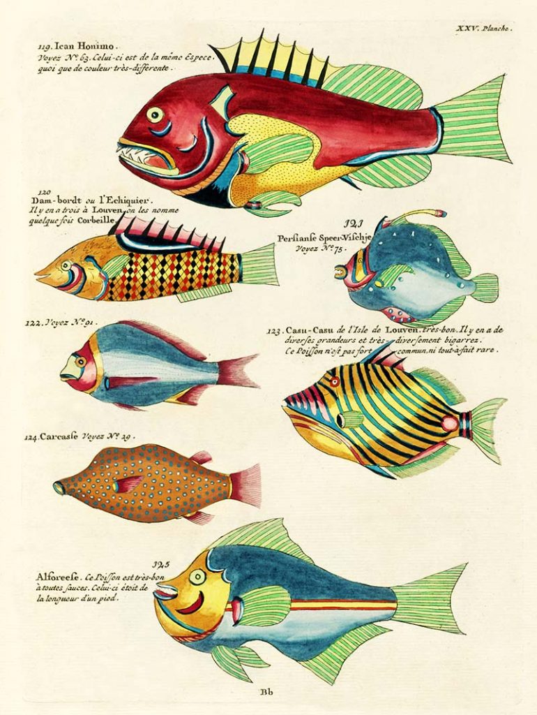 Louis Renards fish paintings