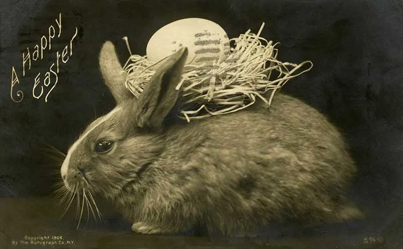 Photo of easter bunny on vintage postcard