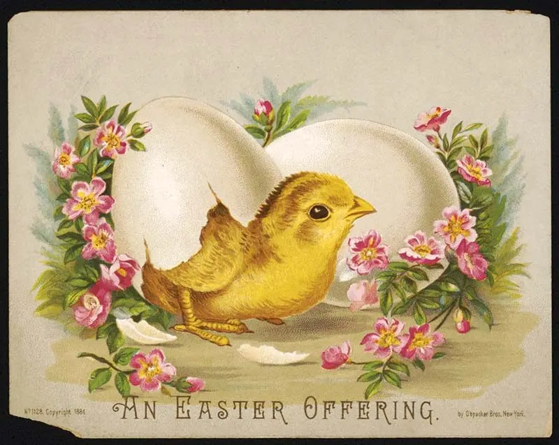 Easter postcard with hatching chick
