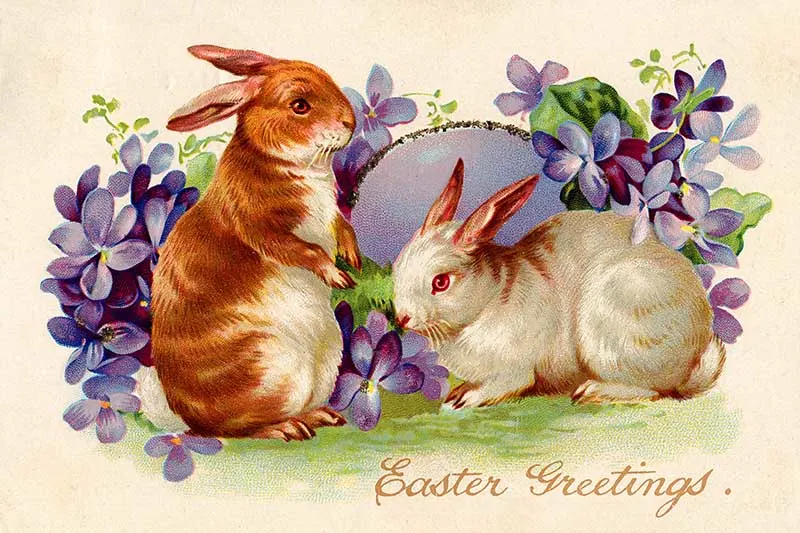 bunnies and lilac flowers