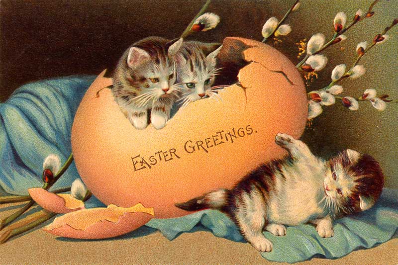 old Easter postcard with kittens playing