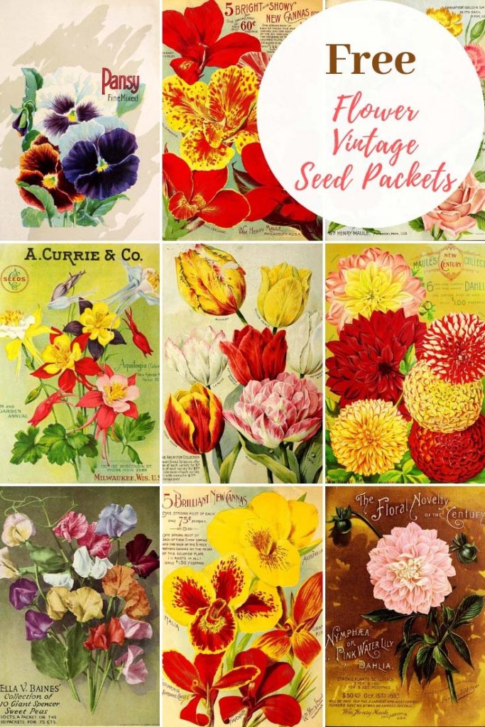 How To Craft With Free Vintage Seed Packets Art Picture Box Blue
