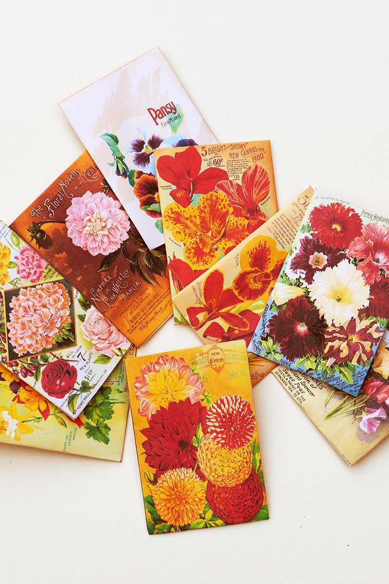Vintage flower seed packets