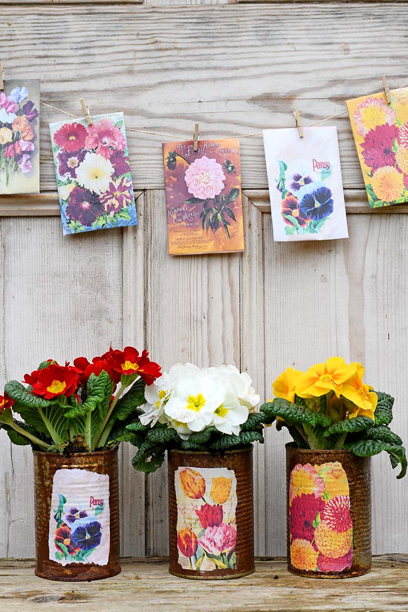 seed packet planters and bunting