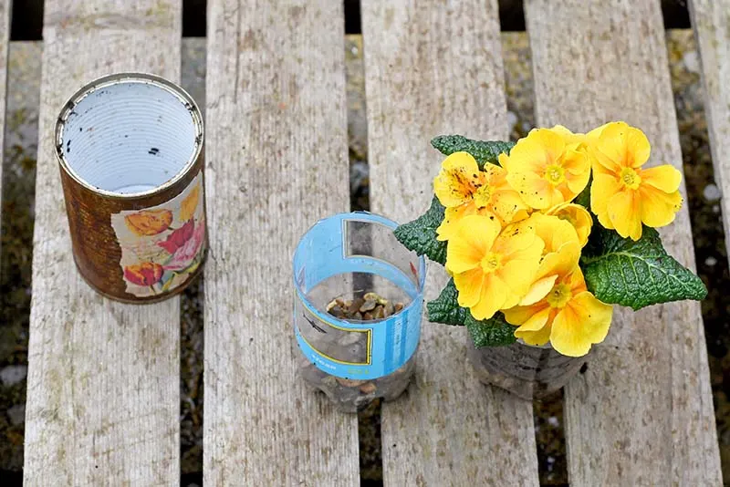 Planting flowers in decoupaged tin cans