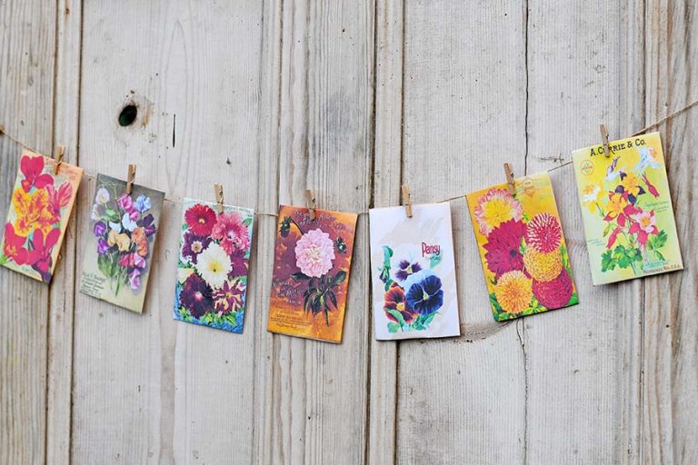 How To Craft With Free Vintage Seed Packets Art