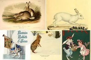 Easter Bunny Pictures, rabbit and hare illustrations