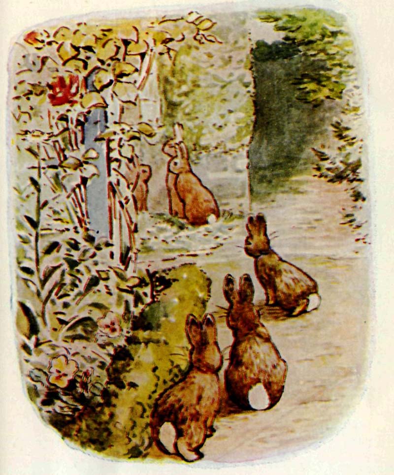 he Beatrix Potter book "The Tale of The Flopsy Bunnies",