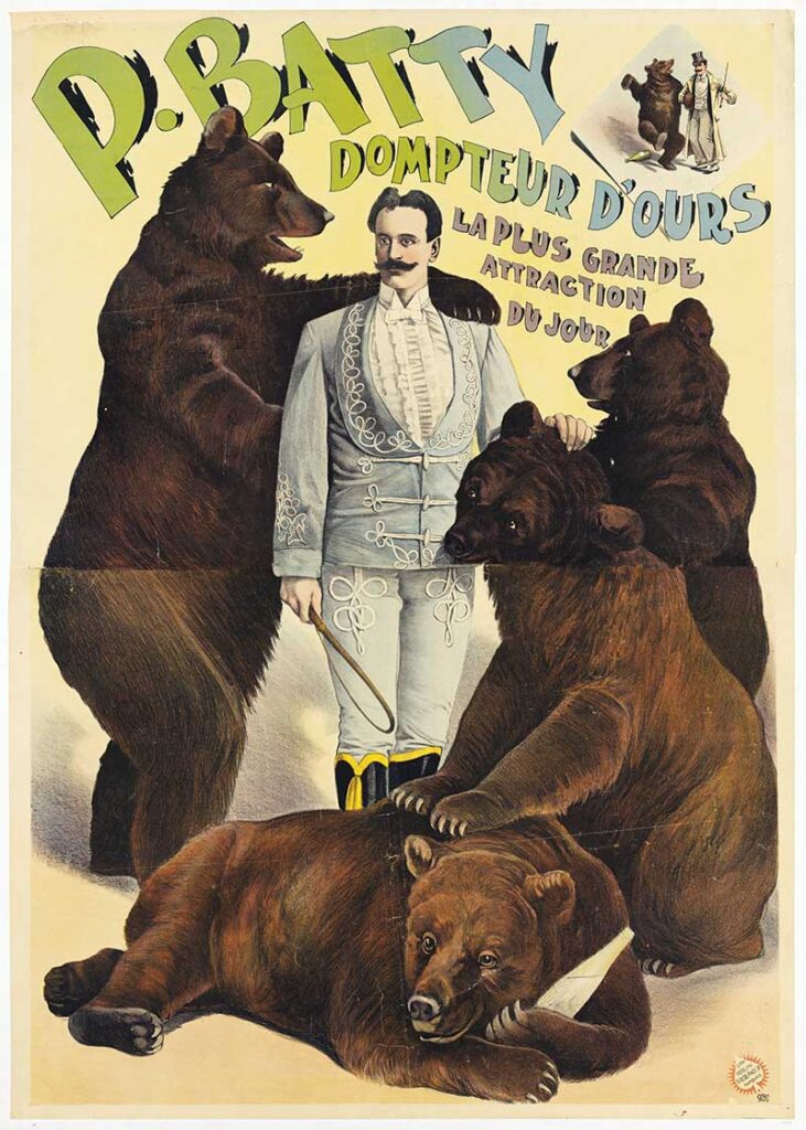 Batty bear trainer poster
