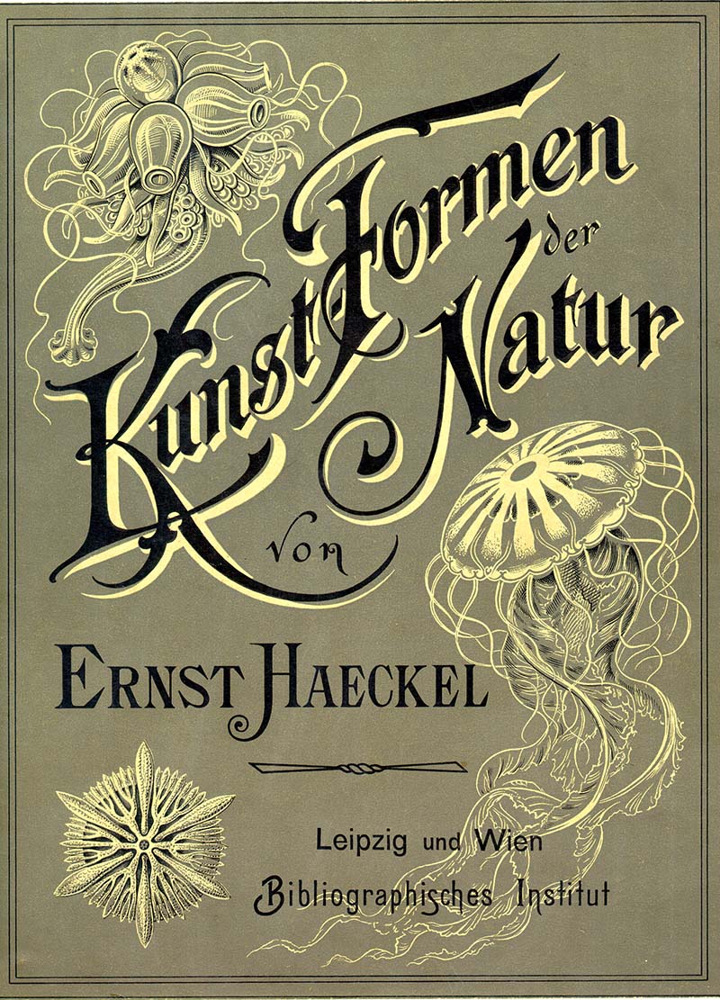 cover to Ernst Haeckel book "Kunst-Formen von Natur"