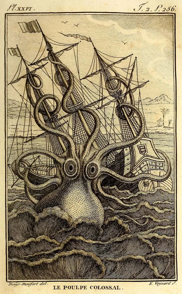 Giant octopus Kraken