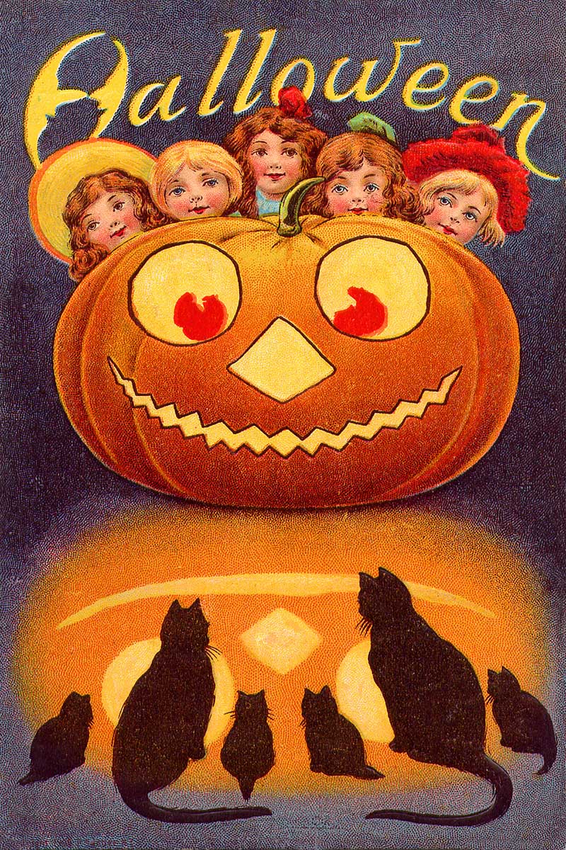 Family of black cats, with a group of children hidding behind a large Jack-o-Lantern.
