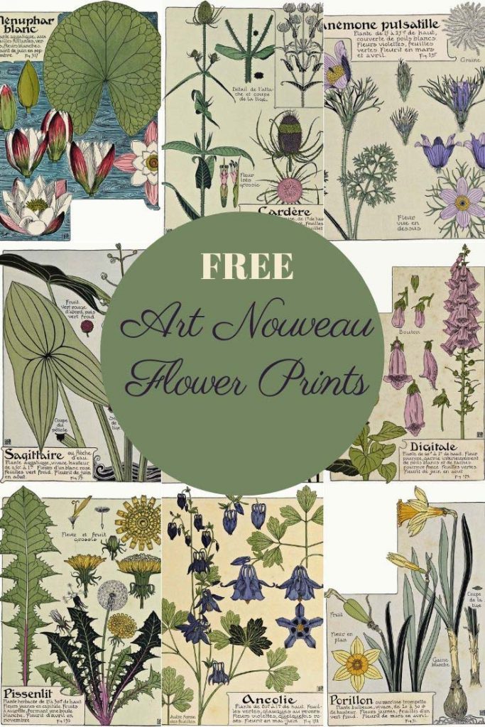 Free art Nouveau flower prints