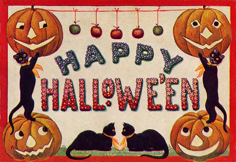 Happy Halloween cats with carved pumpkins