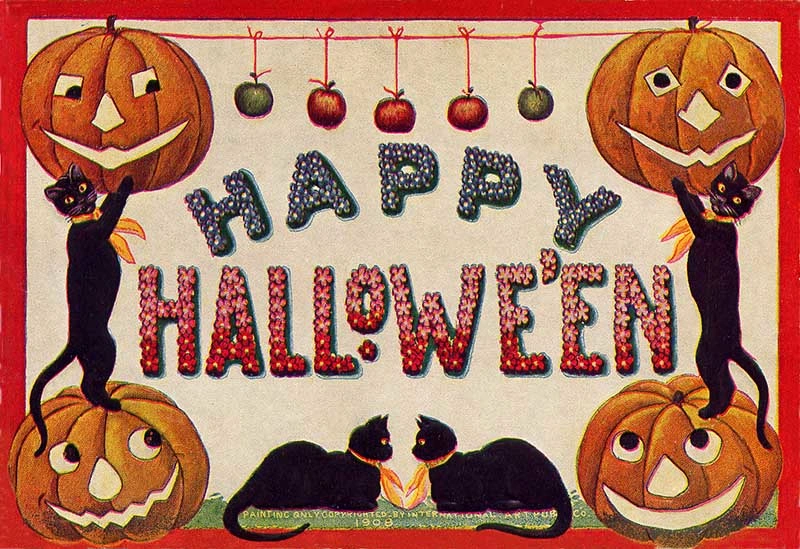 Happy Halloween cats with carved pumpkins