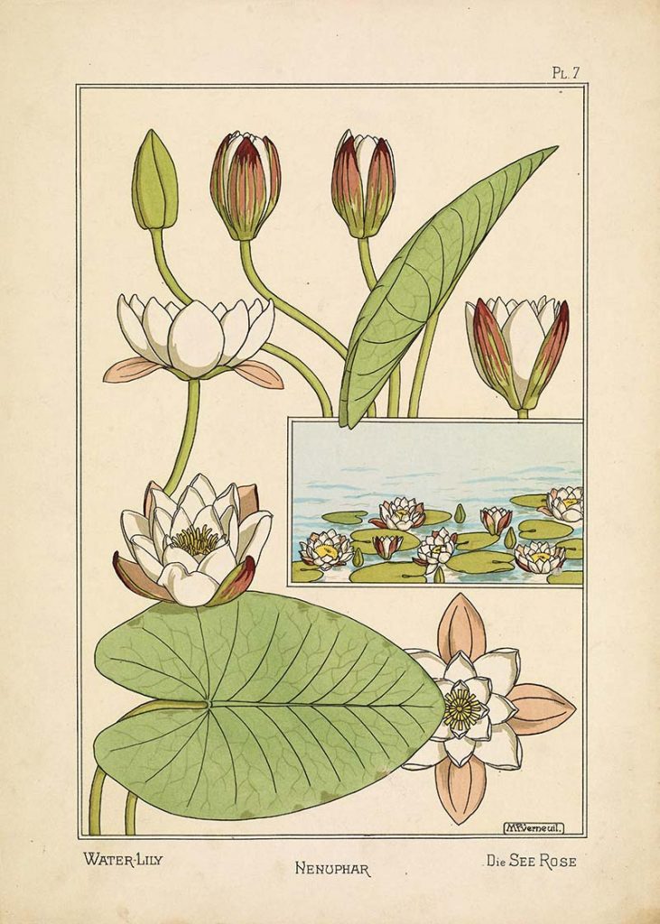 Maurice P. Verneuil Water Lilly