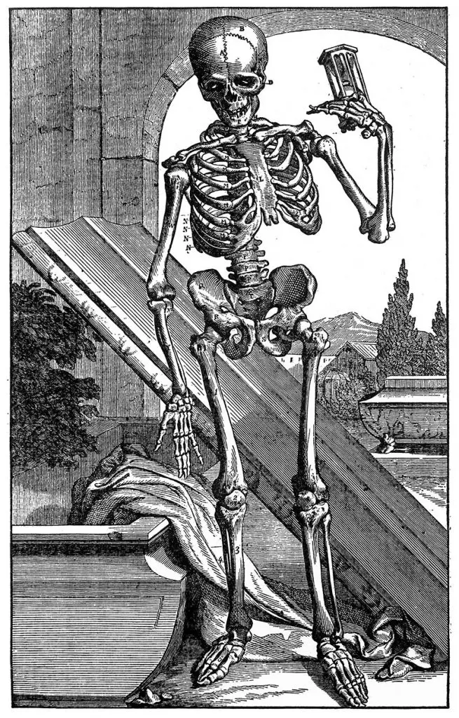 17th century skeleton art