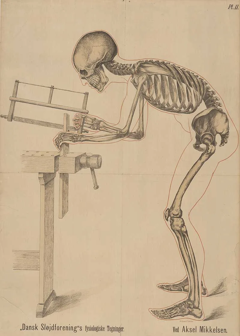 Danish skeleton of capenter at work