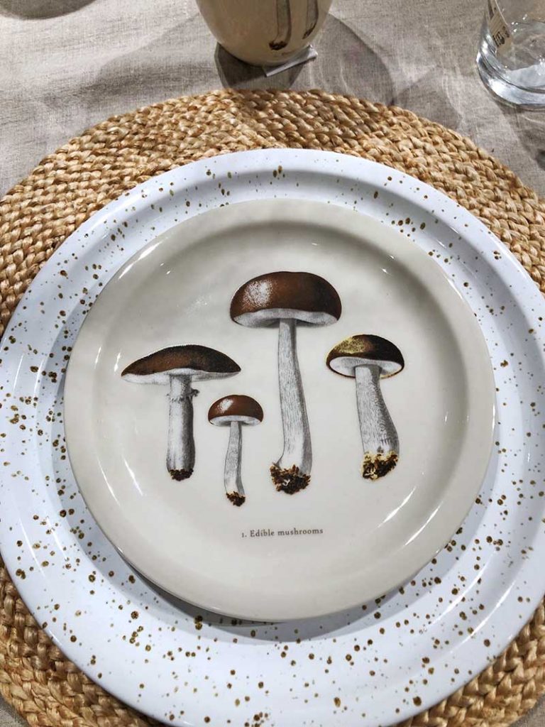 H&M Mushroom plate