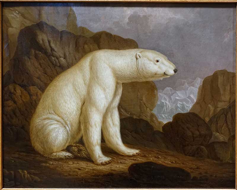 Painting of a polar bear by Wihelm Kehrer 1820