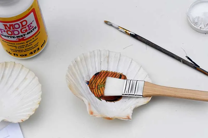 Brushing out air bubbles on the shell dish decoupage