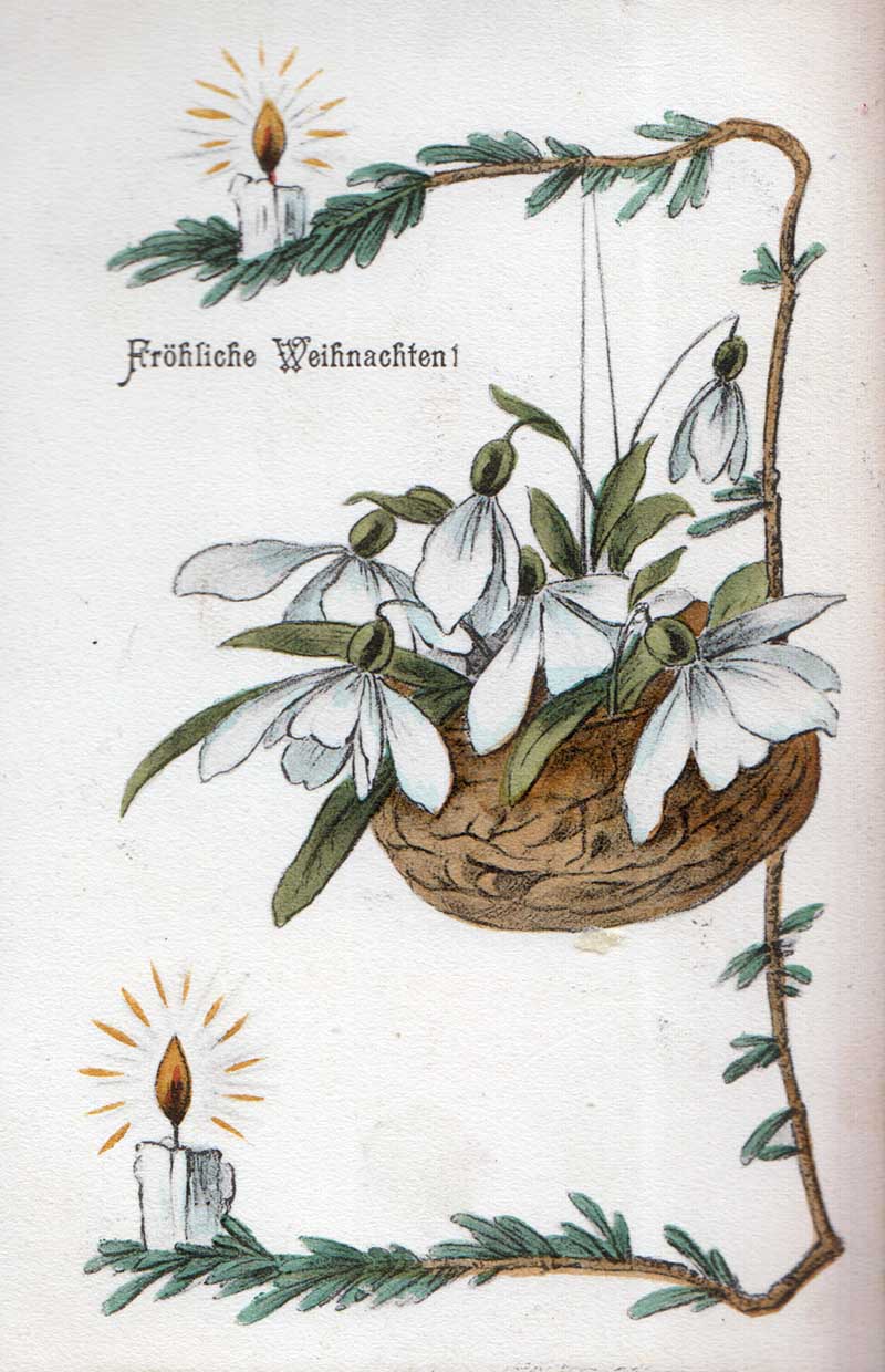 Christmas snowdrops with candles postcard