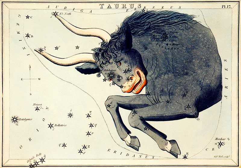 Taurus Zodica sign