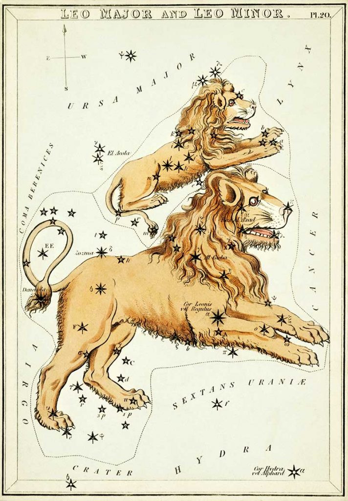 Leo astrological sign
