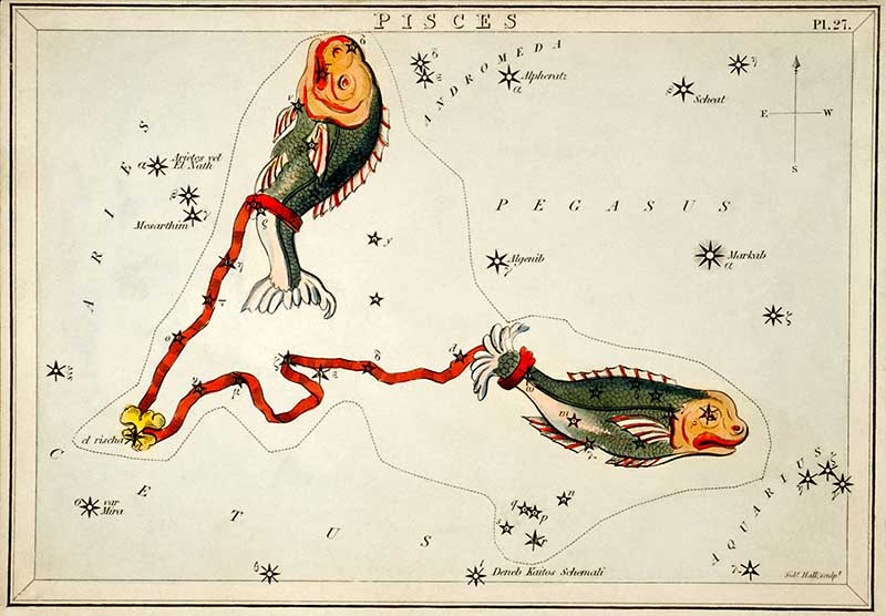 Pisces Zodiac illustriation