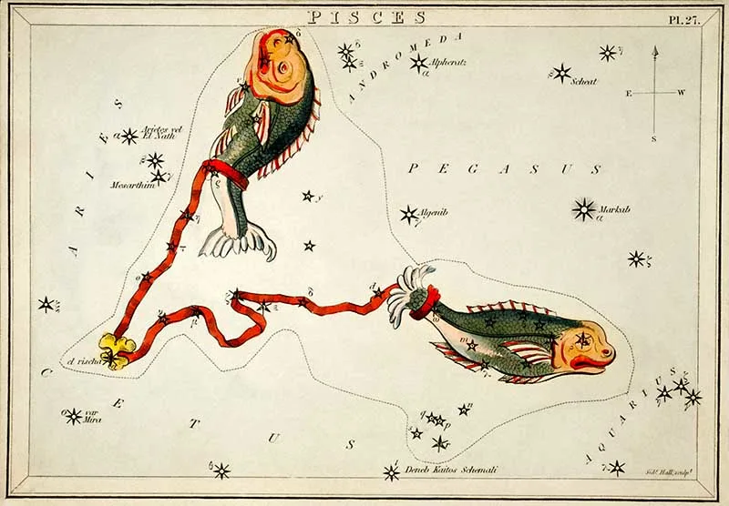 Pisces Zodiac illustriation
