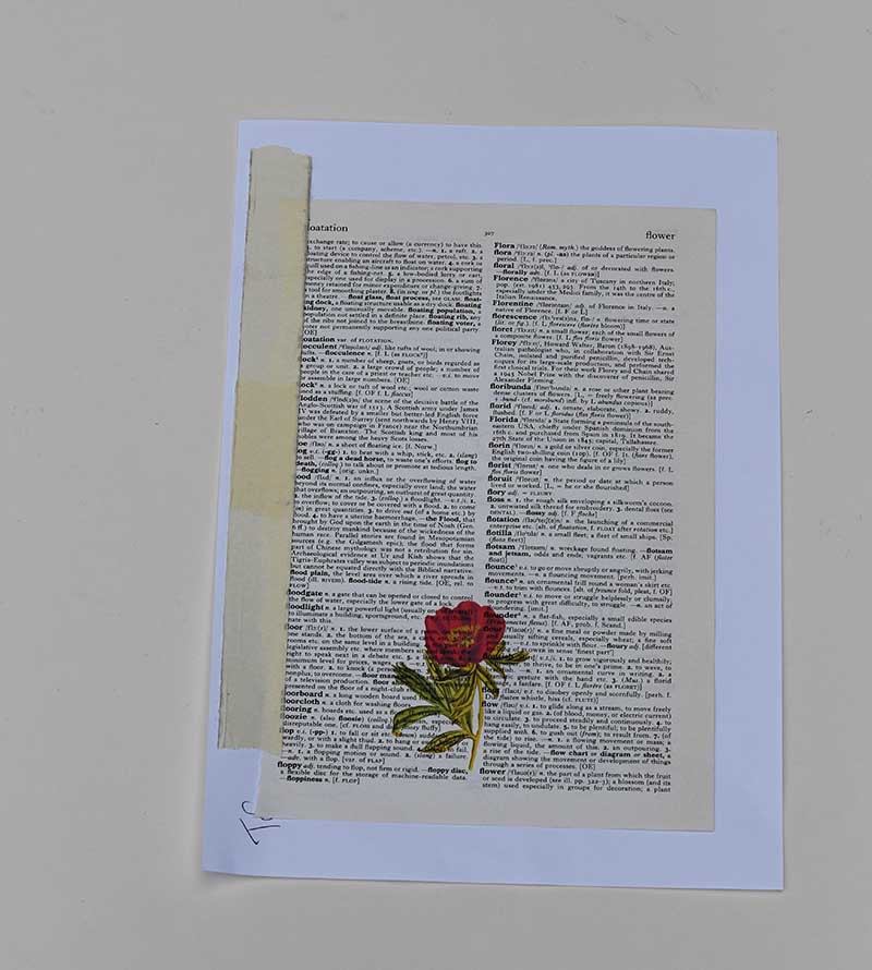 printed peony on dictionary paper