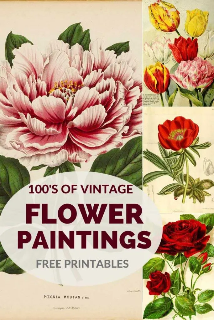vintage flower paintings