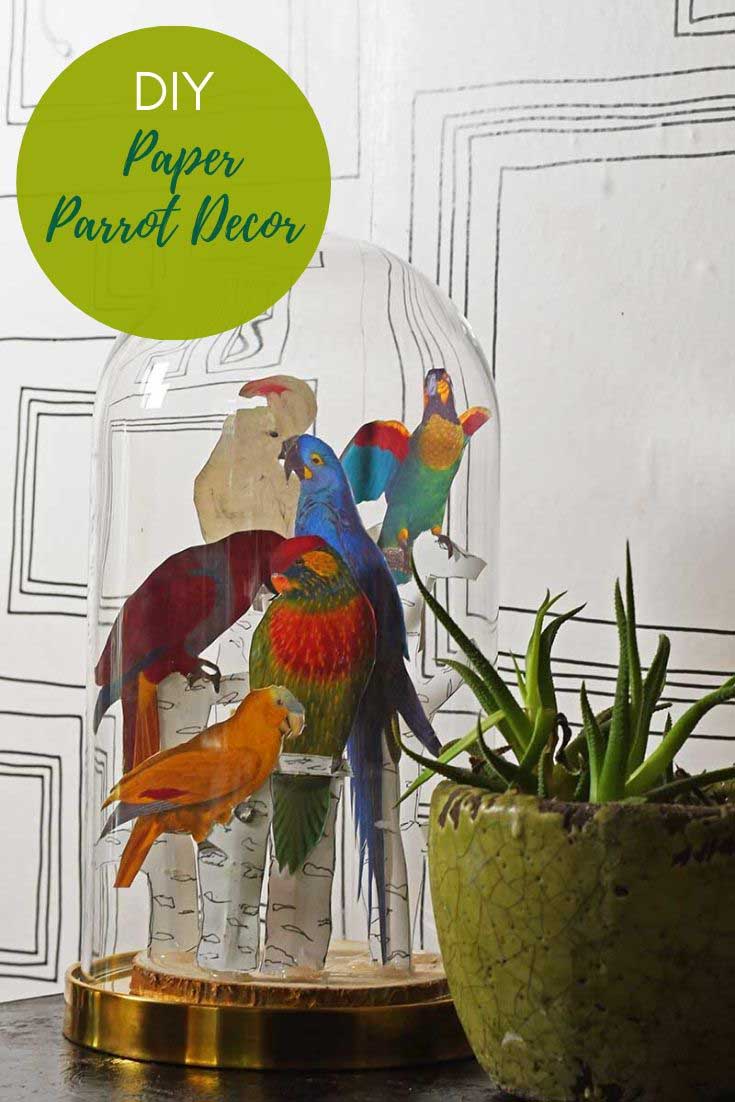 How To Make A Fun Parrot Decor For An IKEA Glass Cloche - Picture Box Blue