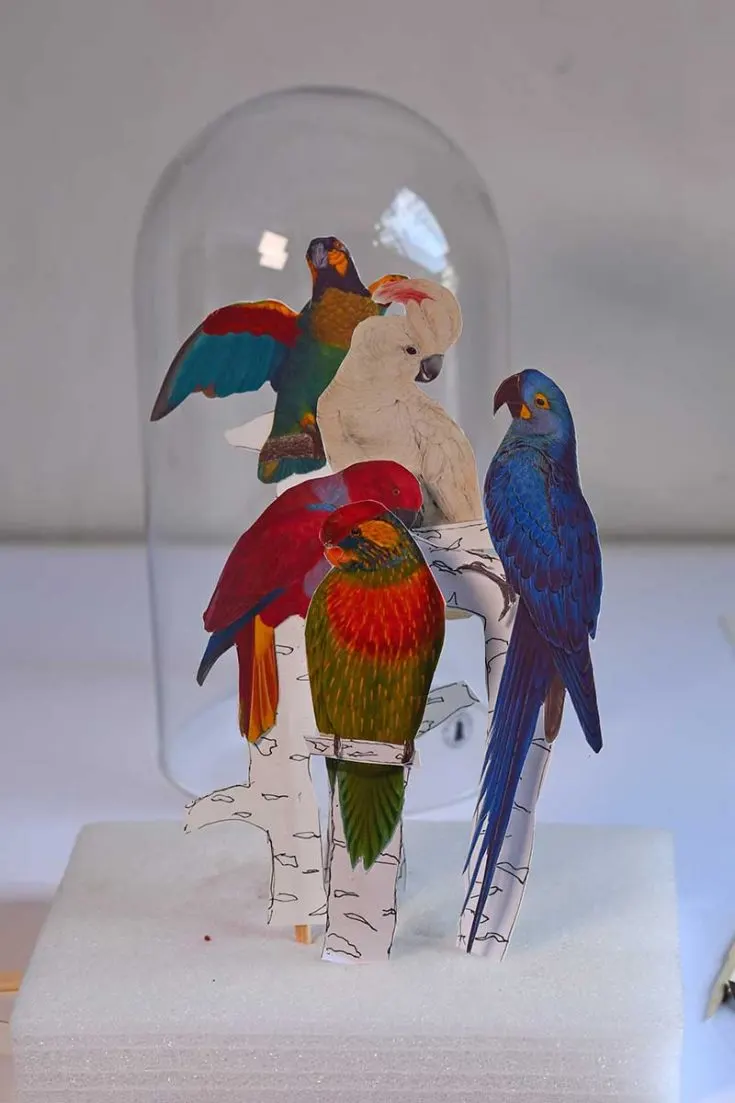 parrot decor arrangement
