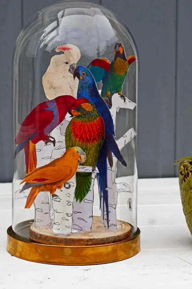 Tropical parrot cloche