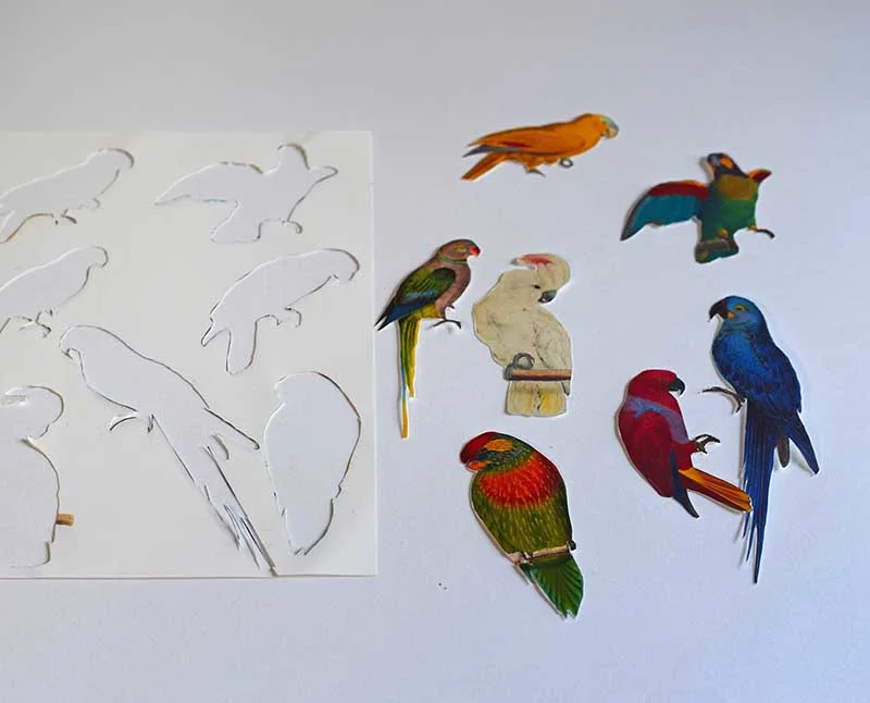 Parrot cutouts 