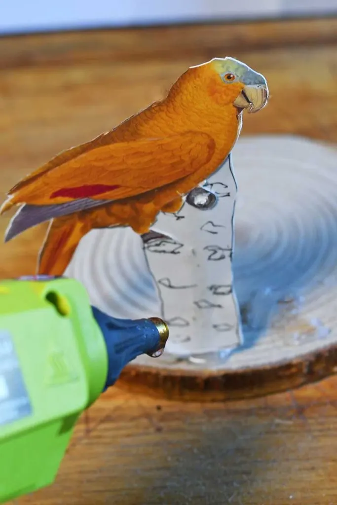 gluing paper parrots to the wood slice base