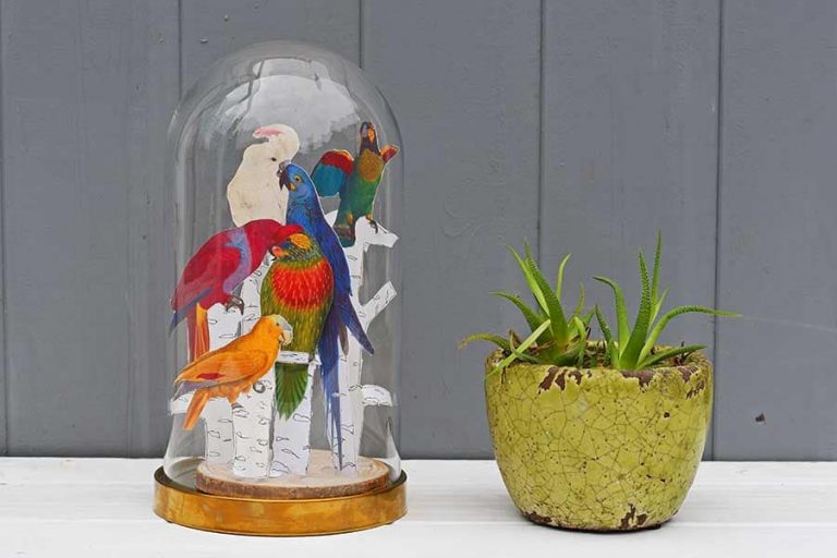 How To Make A Fun Parrot Decor For An IKEA Glass Cloche