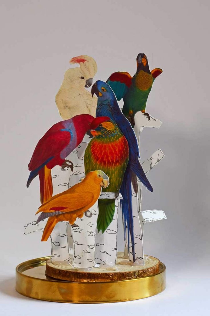 DIY Parrot paper craft